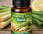 HƯƠNG SẢ JAVA – HƯƠNG LIỆU THƠM TƯƠI, SẠCH KHUẨN CHO NGÀNH HÓA MỸ PHẨM