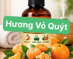 HƯƠNG VỎ QUÝT – TƯƠI MÁT, SẠCH KHUẨN, ỨNG DỤNG ĐA NĂNG