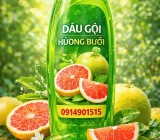 HƯƠNG BƯỞI DÙNG CHO DẦU GỘI | CUNG CẤP BỞI THIÊN AN PHÁT