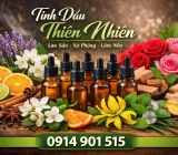 THIÊN AN PHÁT - CUNG CẤP TINH DẦU THIÊN NHIÊN