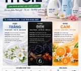 BỘ TÔNG HƯƠNG HYGIE – GIẢI PHÁP HƯƠNG THƠM CHO NƯỚC GIẶT & XỊT THƠM QUẦN ÁO